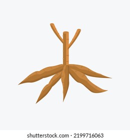 vector de mandioca o yuca sobre fondo blanco