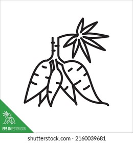 Cassava-Wurzelpflanzensymbol, Vektorgrafik in Umrissform