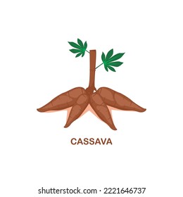 cassava with stems and leaves. vector illustration.issolated on white background.suitable as an icon, design needs, etc.
