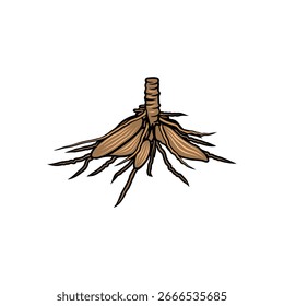 Raíces de árbol de yuca Ilustración vectorial de planta de batata blanca