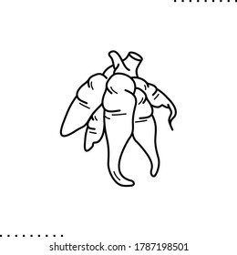 Cassava Tuber Vector Icon In Outlines