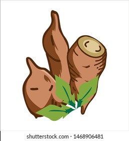 Cassava vector design - vegetable background