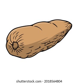 cassava vector illustration,isolated on white background,top view