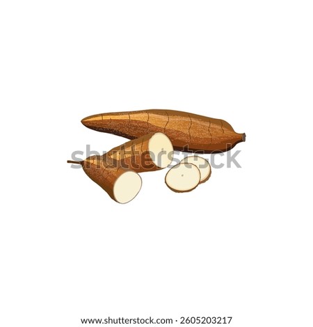Cassave for flour industry or ethanol industry