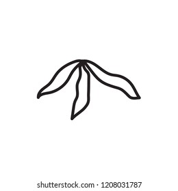 cassave icon vector. vegetable icon vector line style