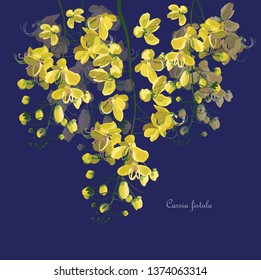 Cassia fistula flower symbol of Thailand