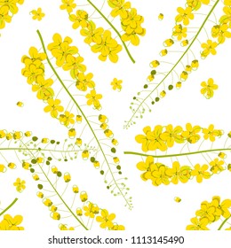 Cassia Fistula - Golden Shower Flower on White Background. Vector Illustration