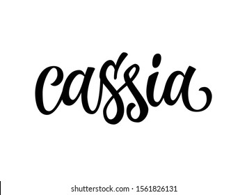 Cassia - vector hand drawn calligraphy style lettering word. Isolated script spice text label. Labels, shop design, cafe decore etc