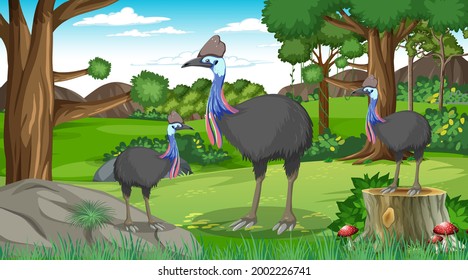 Cassowaries family in forest or tropical forest at daytime scene illustration