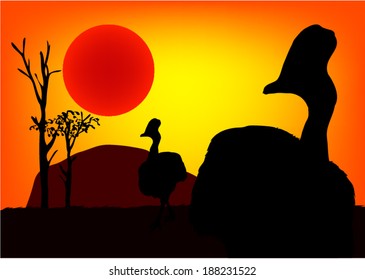 Cassowary in Australia at sunset.vector