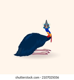 Cassowary, Australian wild animal. Vector illustration isolated on white background.