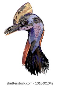 Cassowary. Big ostrich. Drawing by hand, drawing markers. Multicolored stylish pattern.