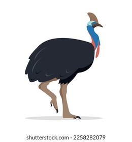 Cassowary bird icon. Big Australian big cassowary isolated on white background. Flat or cartoon vector illustration.