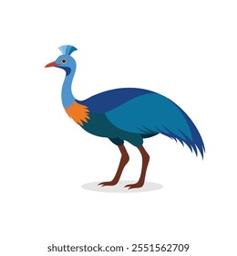 
Cassowary bird isolated flat vector illustration on white background