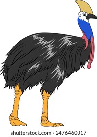 cassowary bird line vector illustration isolated on white background