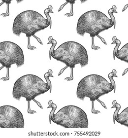 Cassowary bird. Seamless pattern with animals of Australia. Hand drawing of wildlife. Vector illustration art. Black and white. Old engraving. Vintage. Design for fabrics, paper, textiles, fashion.