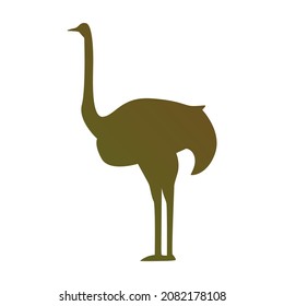 cassowary bird shape illustration visual design