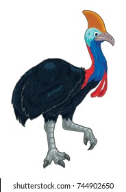 Cassowary cartoon in detail illustration