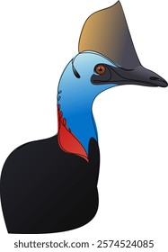 Cassowary head color vector illustration. Big Australian bird isolated on white background.