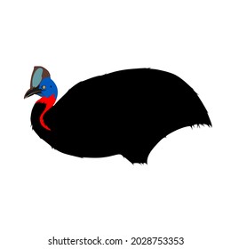 Cassowary is one of the largest bird besides ostrich and emu. It also a flightless bird. It has unique colouration on its head