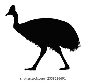 Cassowary silhouette on white background.