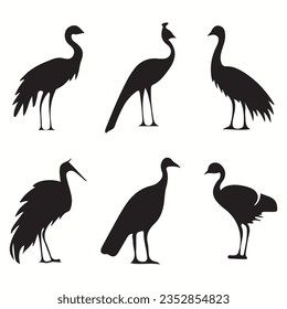 Cassowary silhouettes and icons. Black flat color simple elegant Cassowary animal vector and illustration.