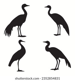 Cassowary silhouettes and icons. Black flat color simple elegant Cassowary animal vector and illustration.