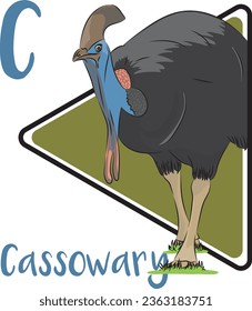 Cassowary is usually considered to be the world's most dangerous bird and cassowary is a large, flightless bird most closely related to the emu. Cassowary has powerful legs