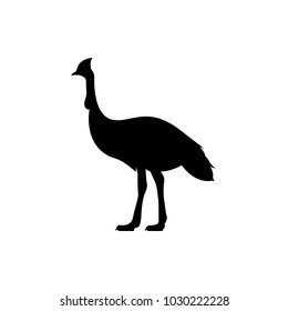 cassowary vector silhouette