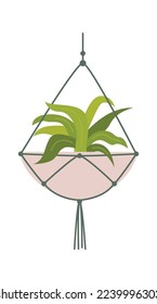 Cast Iron Plant flat icon Green Houseplant in pot. Vector illustration