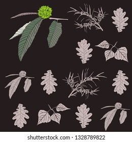 Castanea sativa background with different types of leaves