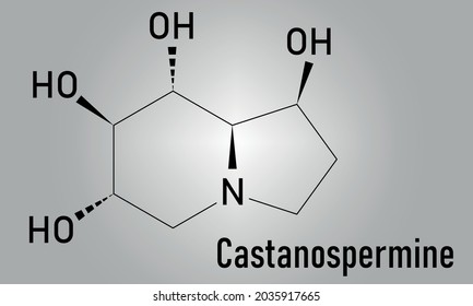 Castanospermine alkaloid molecule. Isolated from Castanospermum australe. Skeletal formula.