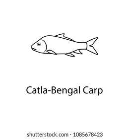 castka bengal carp icon. Element of marine life for mobile concept and web apps. Thin line castka bengal carp icon can be used for web and mobile. Premium icon on white background
