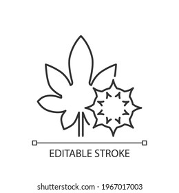 Castor bean linear icon. Exotic plant. Ricinus communis. Herbal allergen. Allergy for plant. Thin line customizable illustration. Contour symbol. Vector isolated outline drawing. Editable stroke