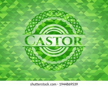 Castor green mosaic emblem. Vector Illustration. Detailed. 