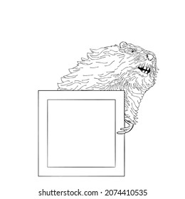Castor holding picture frame, decorative layout element. Hand drawn black and white vector illustration.
