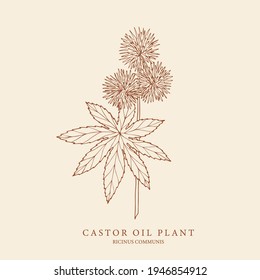 Castor oil plant hand drawn illustration. Botanical design for organic cosmetics, medicine