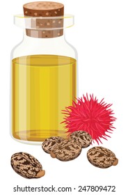 Castor Oil, Ricin, Fruit and seeds, Glass bottle, Vector illustration