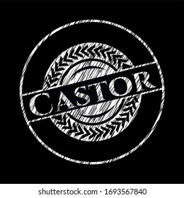 Castor on chalkboard. Vector Illustration. Detailed.