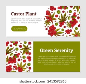 Castor Plant Banner Design with Leaves and Inflorescence Vector Template