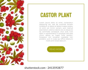 Castor Plant Banner Design with Leaves and Inflorescence Vector Template