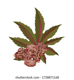 Castor Plant Green Fibrous Palmate Leaves Vector Illustration