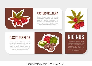 Castor Plant Label Design with Leaves and Inflorescence Vector Template