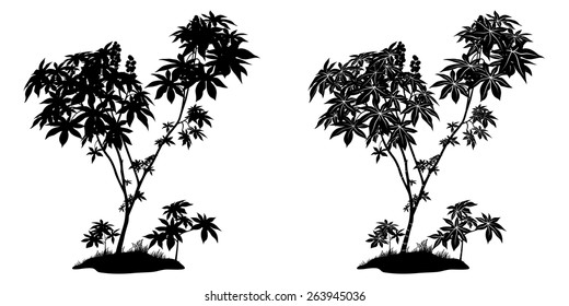 Castor Plant with Leaves, Fruits and Grass Black Contours and Silhouette Isolated on White Background. Vector