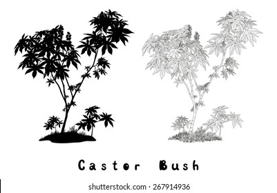 Castor Plant with Leaves, Fruits and Grass Black Contours, Silhouette and Inscriptions Isolated on White Background. Vector