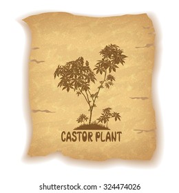 Castor Plant Silhouette and the Inscription on the Vintage Background of an Old Sheet of Paper. Eps10, Contains Transparencies. Vector