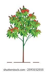 Castor Plant Vector Design, Green Plant, Castor Plant Illustration