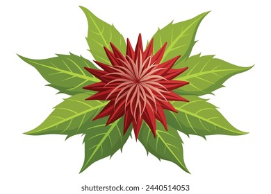 Castor ricinus flower flat vector illustration on white background.