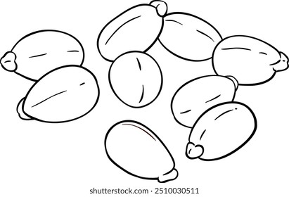 Castor Seeds Isolated Outline Illustration