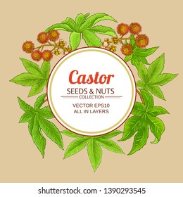 castor vector frame on color background